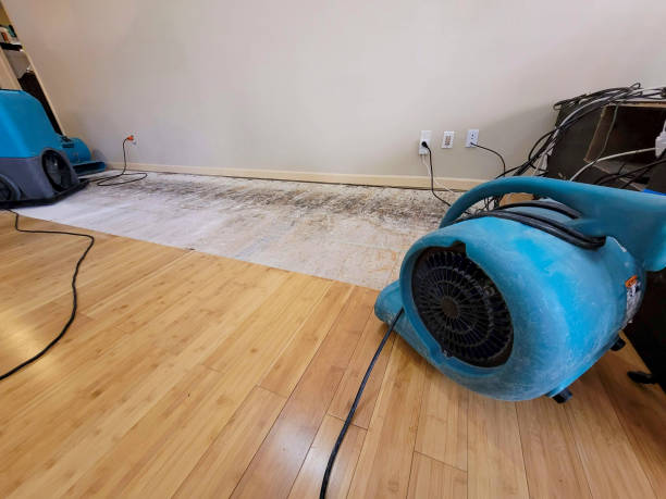 Professional Water Damage Repair technician working in Harmony, NC